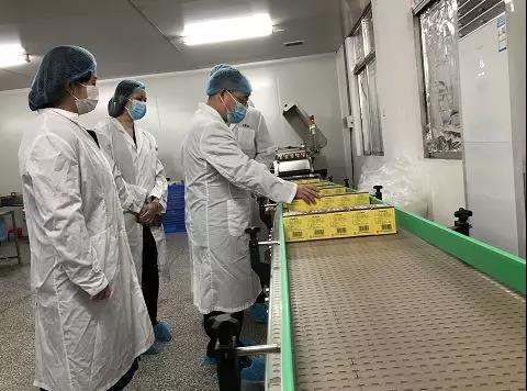 同心抗疫，确保质量！K8凯发公司振隆厂表车间接受广药集团出产监督保险幼组工作督导