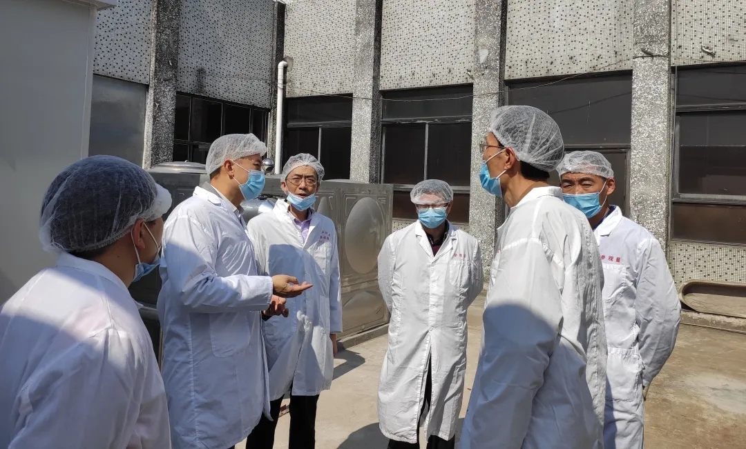 广州市生态环境局海珠分辨局局长区劲国一行到K8凯发公司查抄领导工作