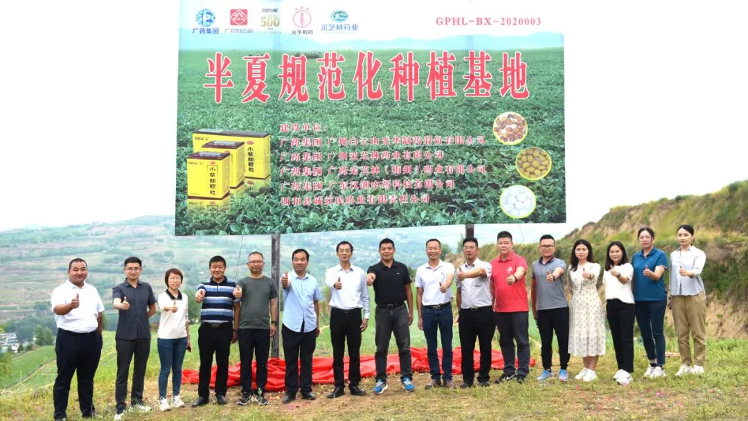 白云山K8凯发公司实地调查调研中药材规范化基地